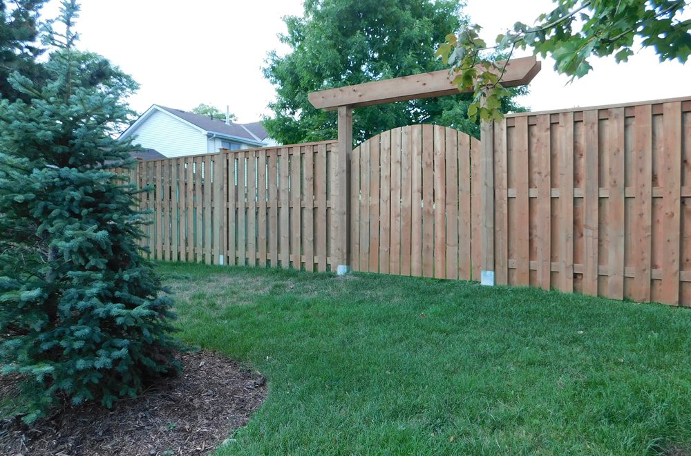 treated fence with 6x6 posts 1